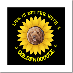 Goldendoodle Lovers Posters and Art